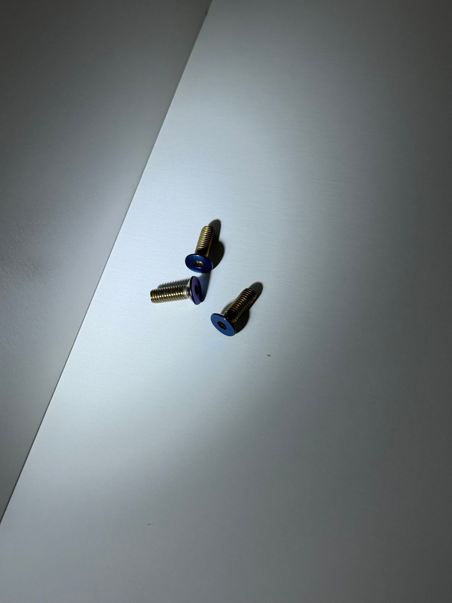 Titanium Bolts for Horn Cover (MX3/MX4/MX5)