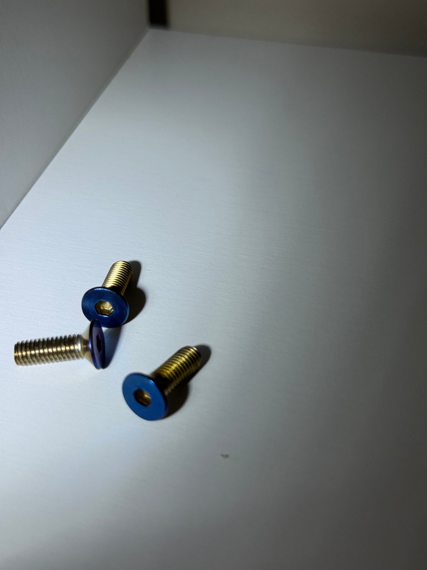 Titanium Bolts for Horn Cover (MX3/MX4/MX5)